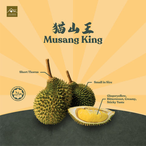 product cover photo-01-min.png