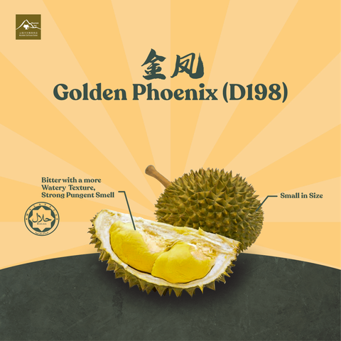 product cover photo-07-min.png