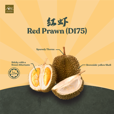 product cover photo-04-min.png