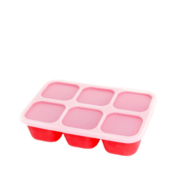 M25) food cube tray_marcus.jpg