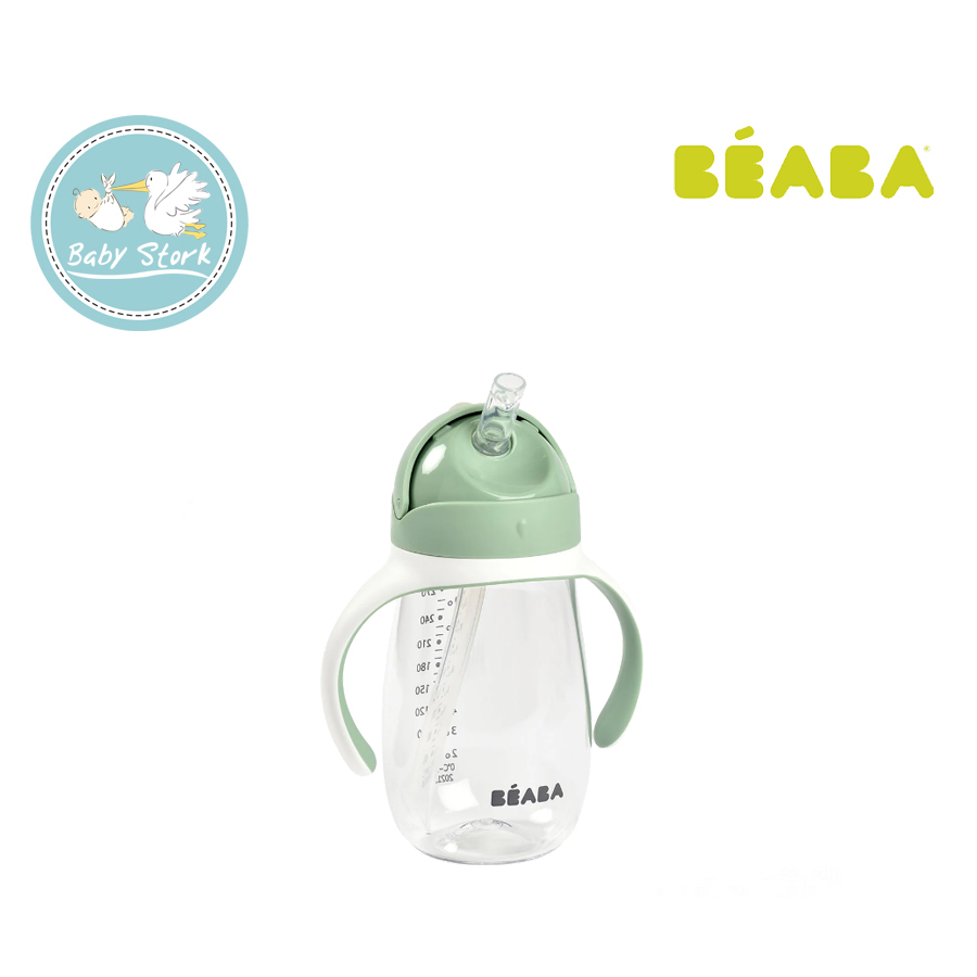 B31)_2 straw bottle 300ml