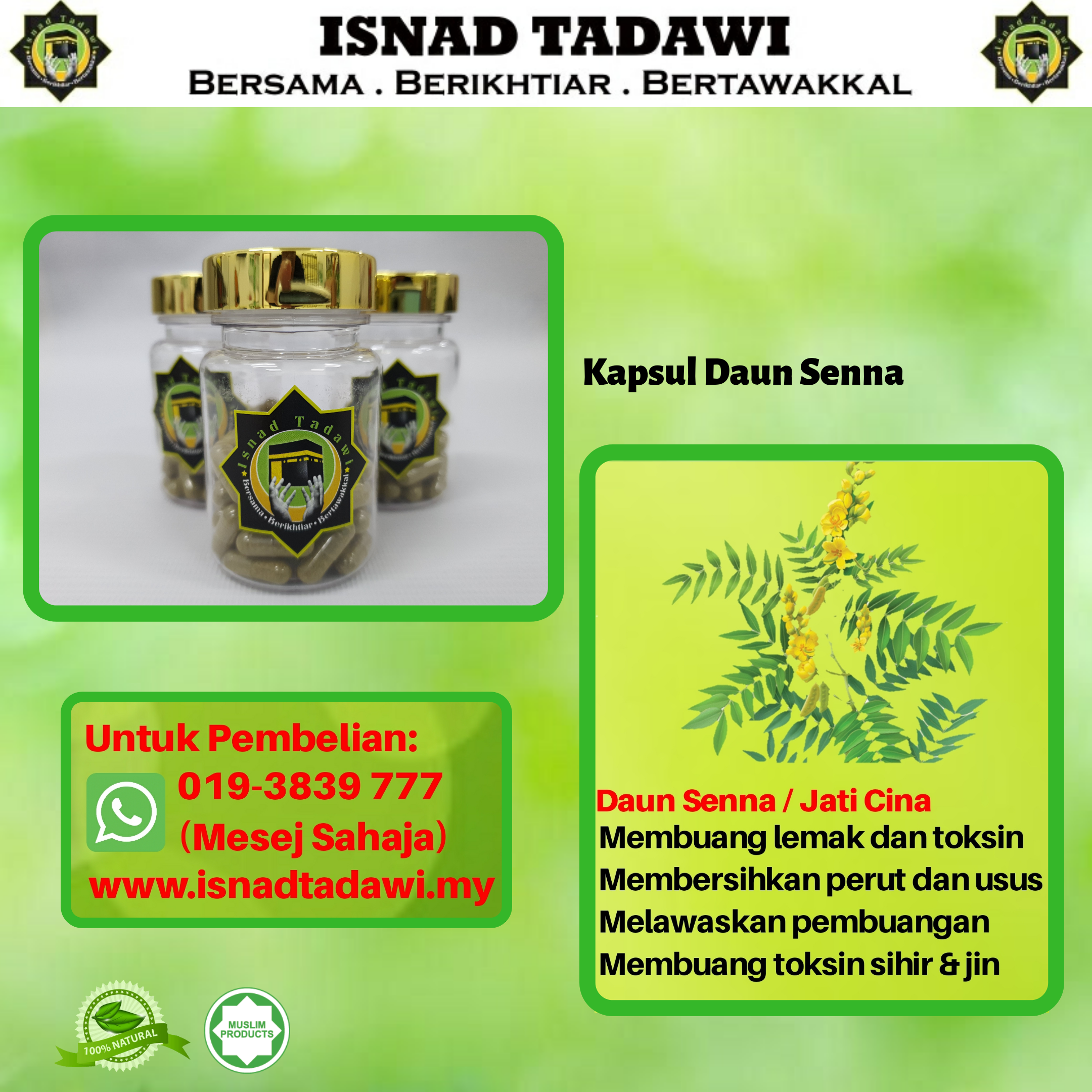 Kapsul Daun Senna Isnad Tadawi.png