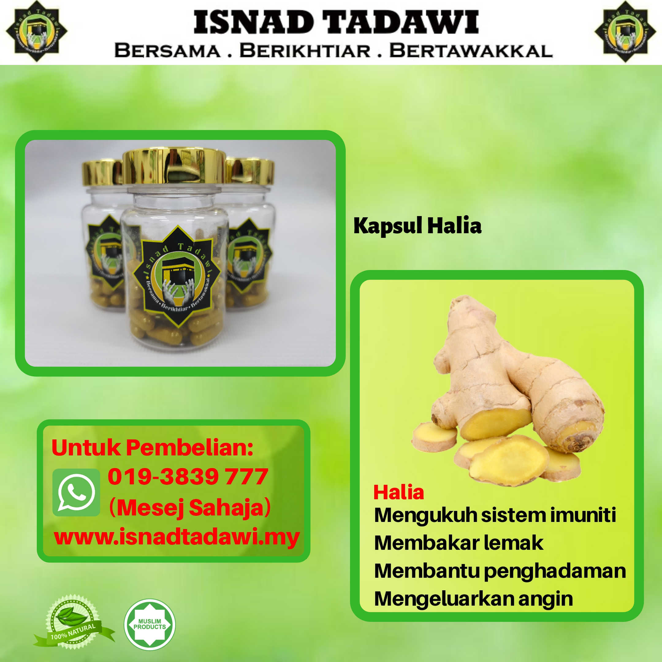 Kapsul Halia Isnad Tadawi.png