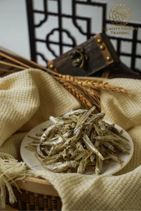 中金线(1).jpg