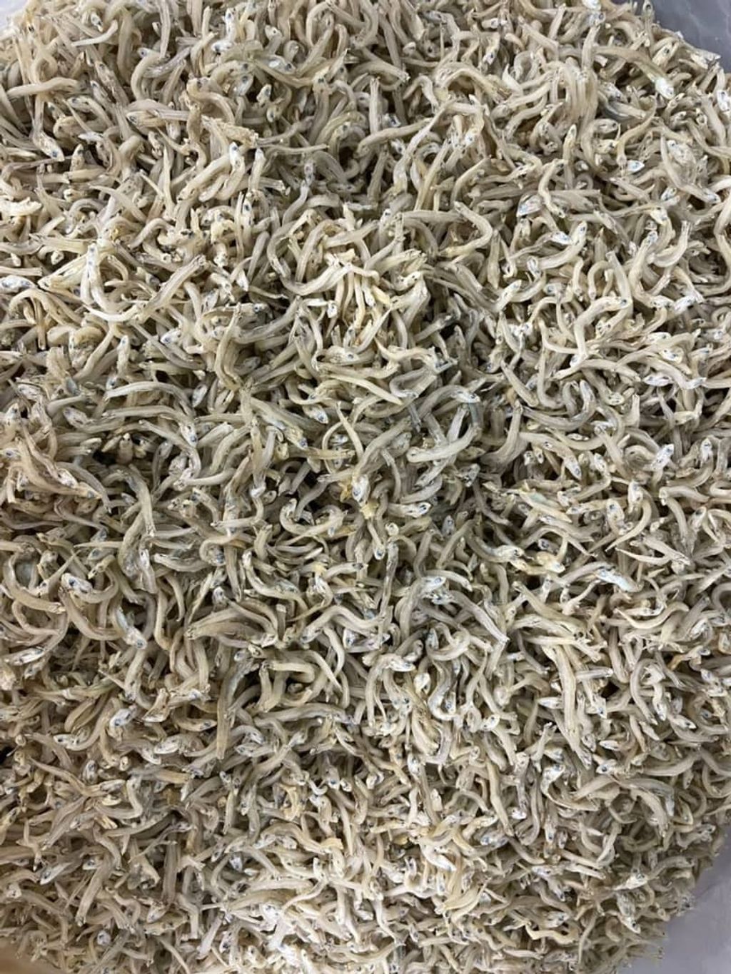 WhatsApp Image 2025-11-19 at 17.05.28