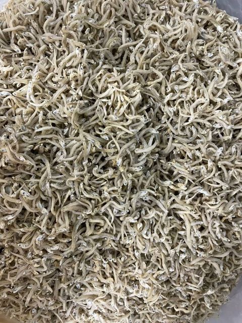 WhatsApp Image 2025-11-19 at 17.05.28