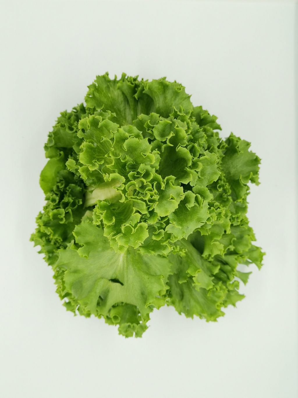 efresh Green Ice Lettuce (150g/pack)
