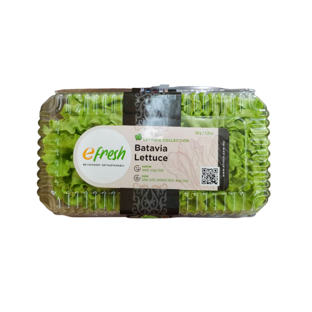 efresh Batavia Lettuce (150g/pack)