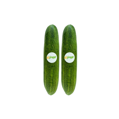 efresh slicer cucumber.png