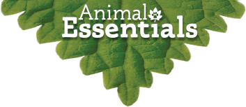 animal-essentials-leaf logo