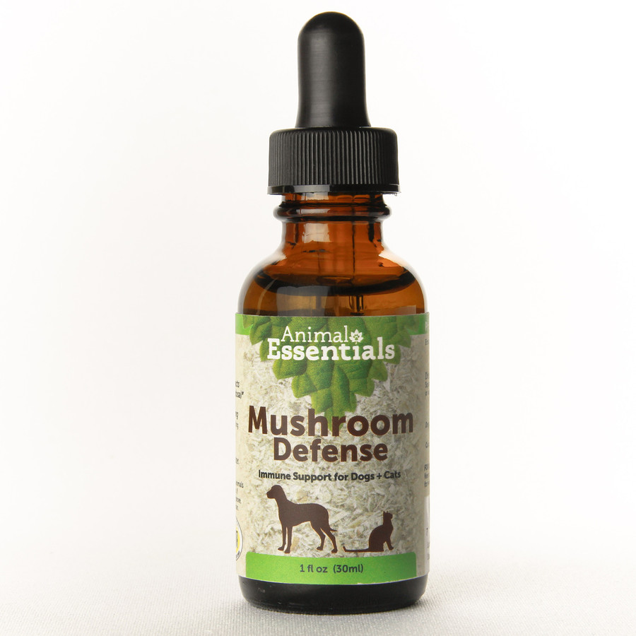 Animal Essentials - Mushroom Defense 01