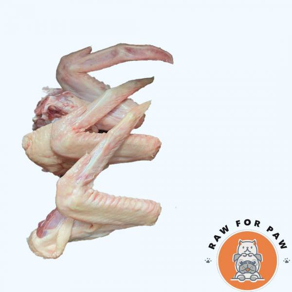 Raw for Paw - Fresh Frozen Duck Wings