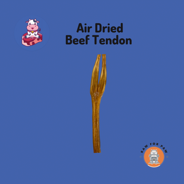 Air Dried Beef Tendon 01