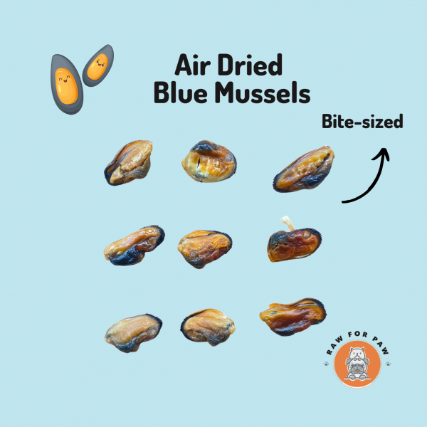 Air Dried Blue Mussels 01