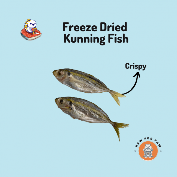 Freeze Dried Kunning Fish 01