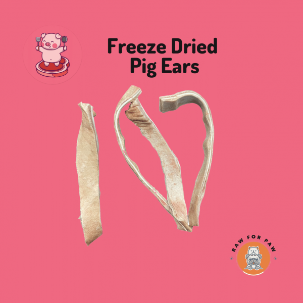 Freeze Dried Pig Ear Strips 01