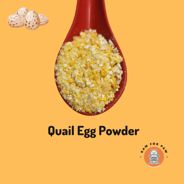 Quail Egg Powder 01