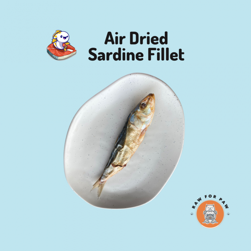 Air Dried Sardine Fillet 01