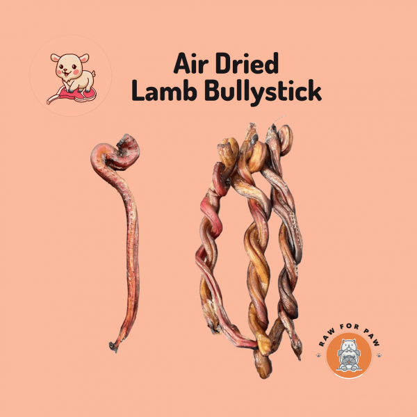 Lamb Bullystick 01