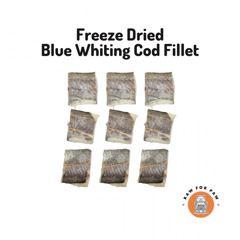 Freeze Dried Blue Whiting Cod Fillet 01