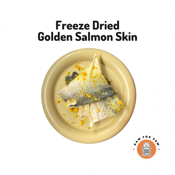 Freeze Dried Golden Salmon Skin 01