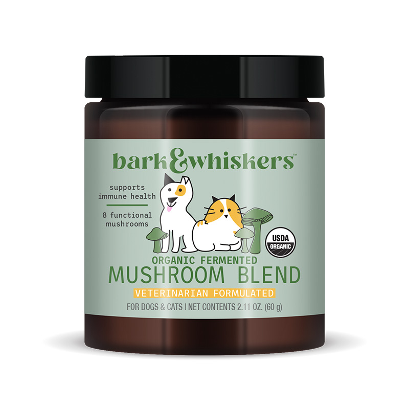 Organic Fermented Mushroom Blend 01
