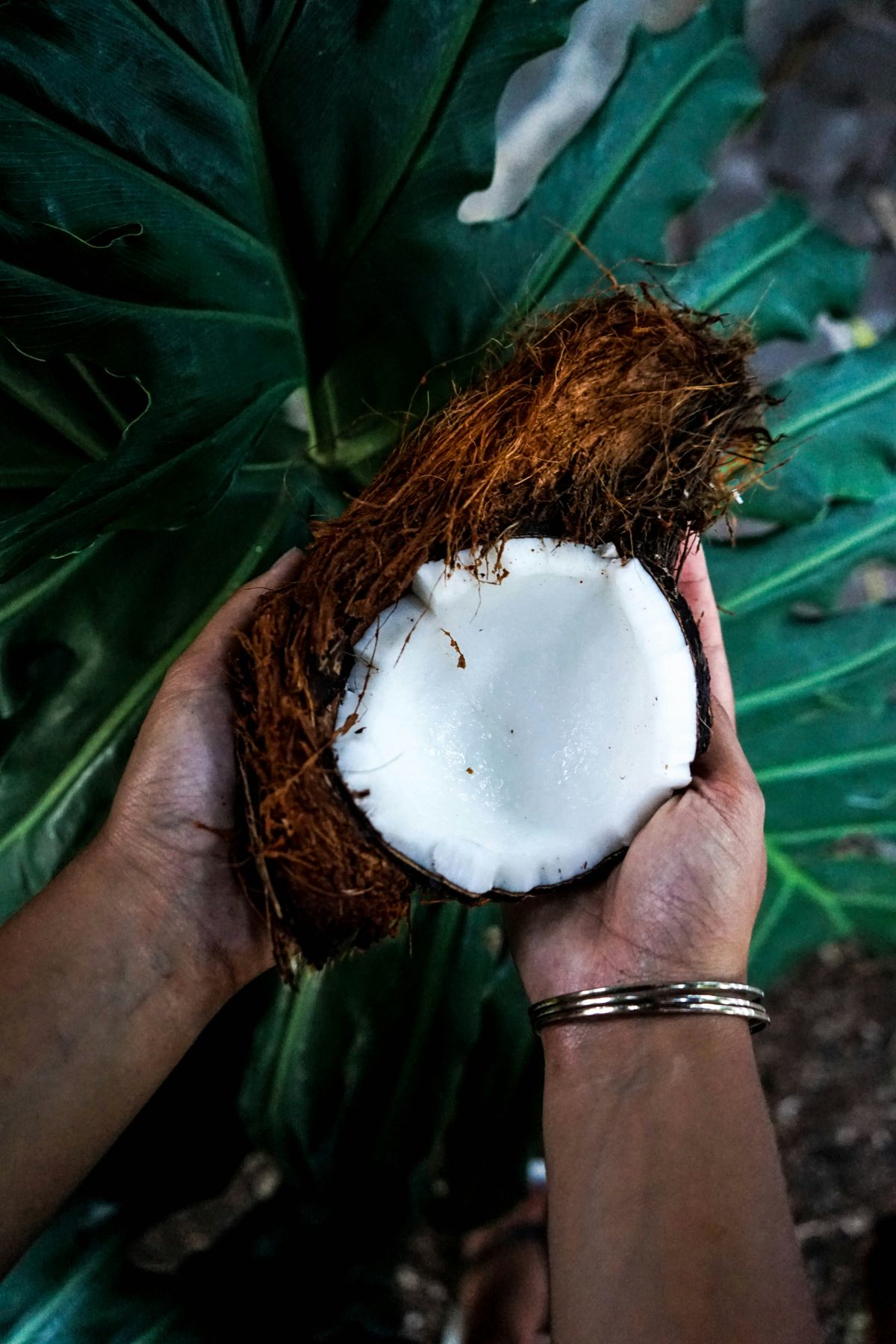 How Coconut Fiber Supports Digestive Issues