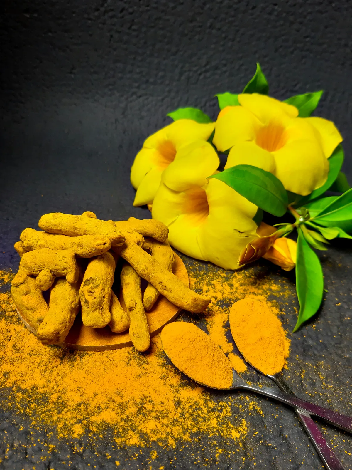 Turmeric For Dogs: 5 Health Benefits You Didn’t Know