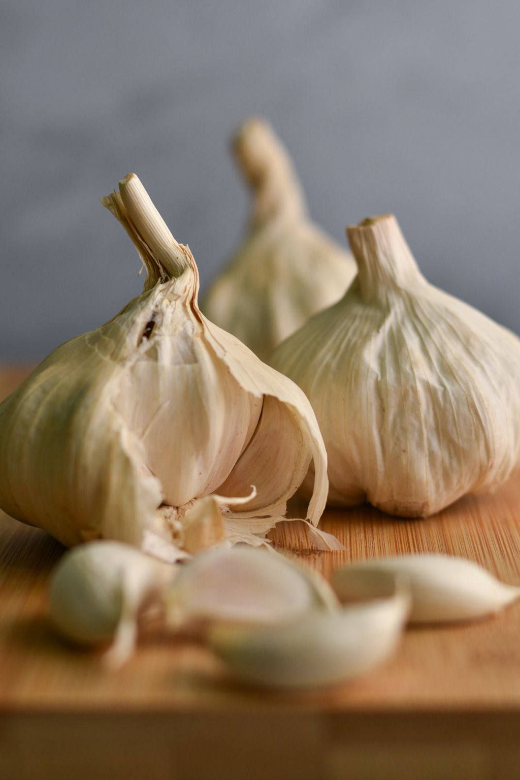 Garlic for Dogs: A Great Idea or a No-Go?