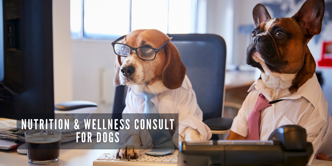 JOOF Holistic Pet | Explore our full collections for Dogs and Cats. - JOOF Nutrition & Wellness Consult for Dogs.