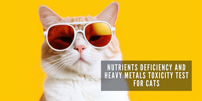 JOOF Holistic Pet | Explore our full collections for Dogs and Cats. - Nutrients Deficiency and Heavy Metal Toxicity Test for Cats