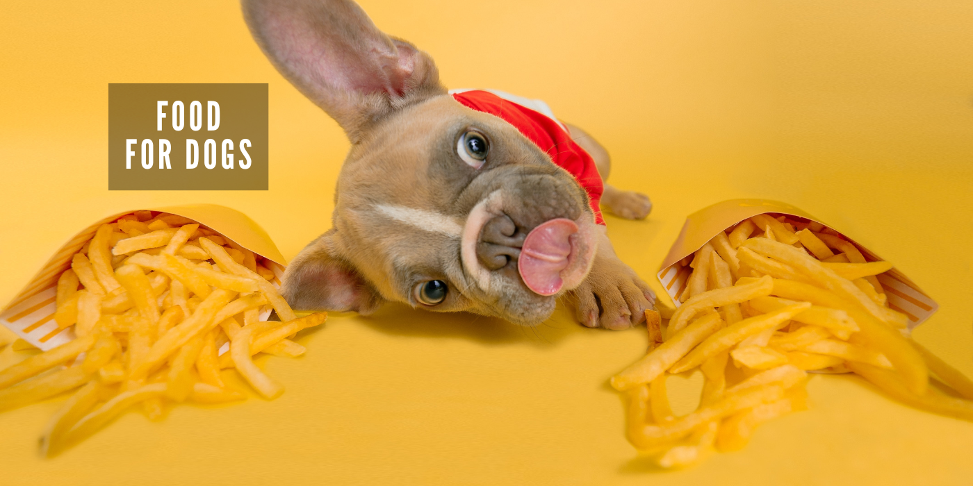 JOOF Holistic Pet | Explore our full collections for Dogs and Cats. - Food for Dogs