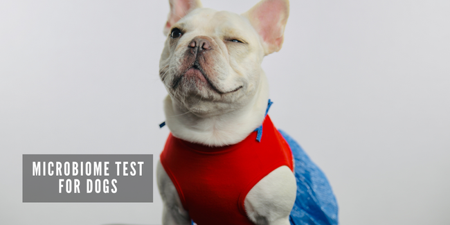 JOOF Holistic Pet | Explore our full collections for Dogs and Cats. - Microbiome Test for Dogs