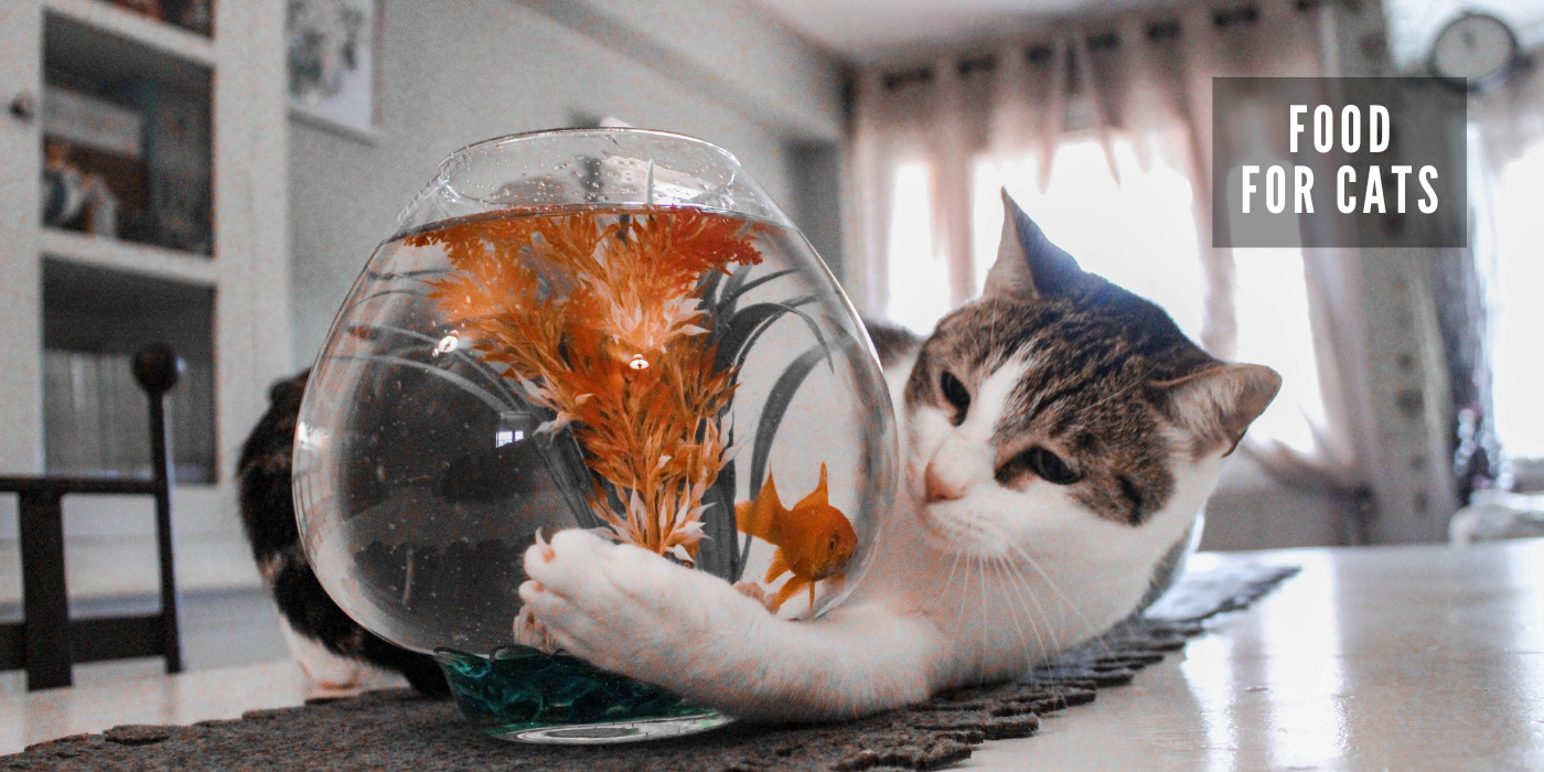 JOOF Holistic Pet | Explore our full collections for Dogs and Cats. - Food for Cats