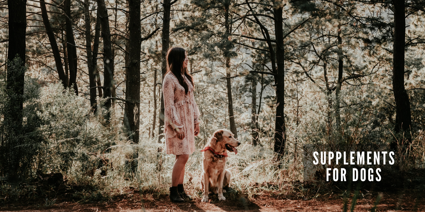 JOOF Holistic Pet | Explore our full collections for Dogs and Cats. - Supplements for Dogs