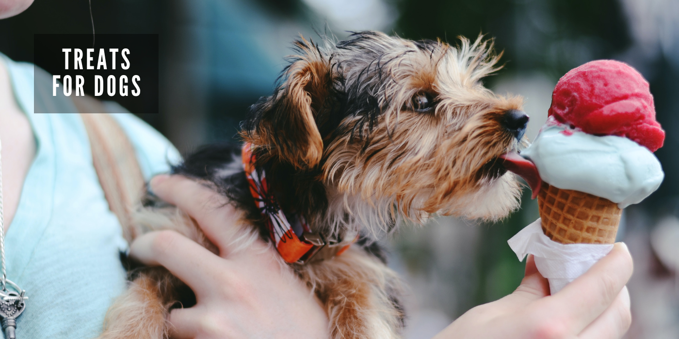 JOOF Holistic Pet | Explore our full collections for Dogs and Cats. - Treats for Dogs