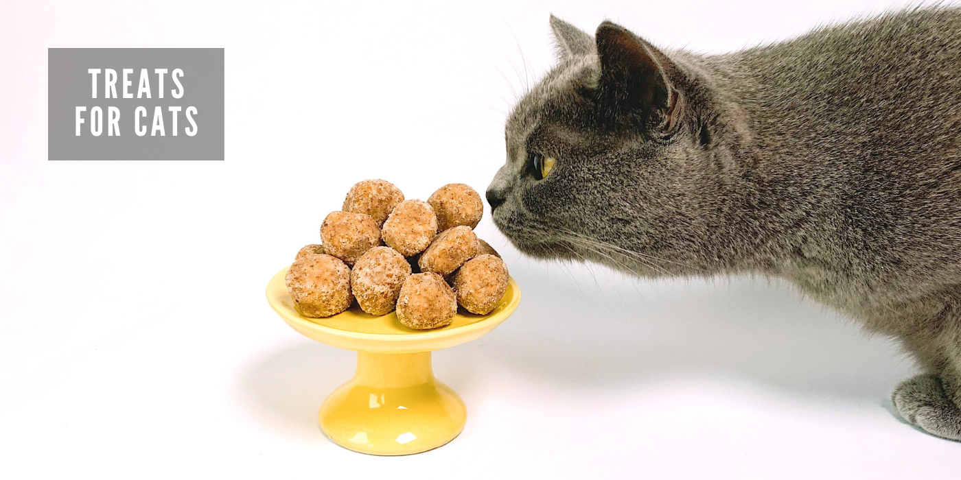 JOOF Holistic Pet | Explore our full collections for Dogs and Cats. - Treats for Cats