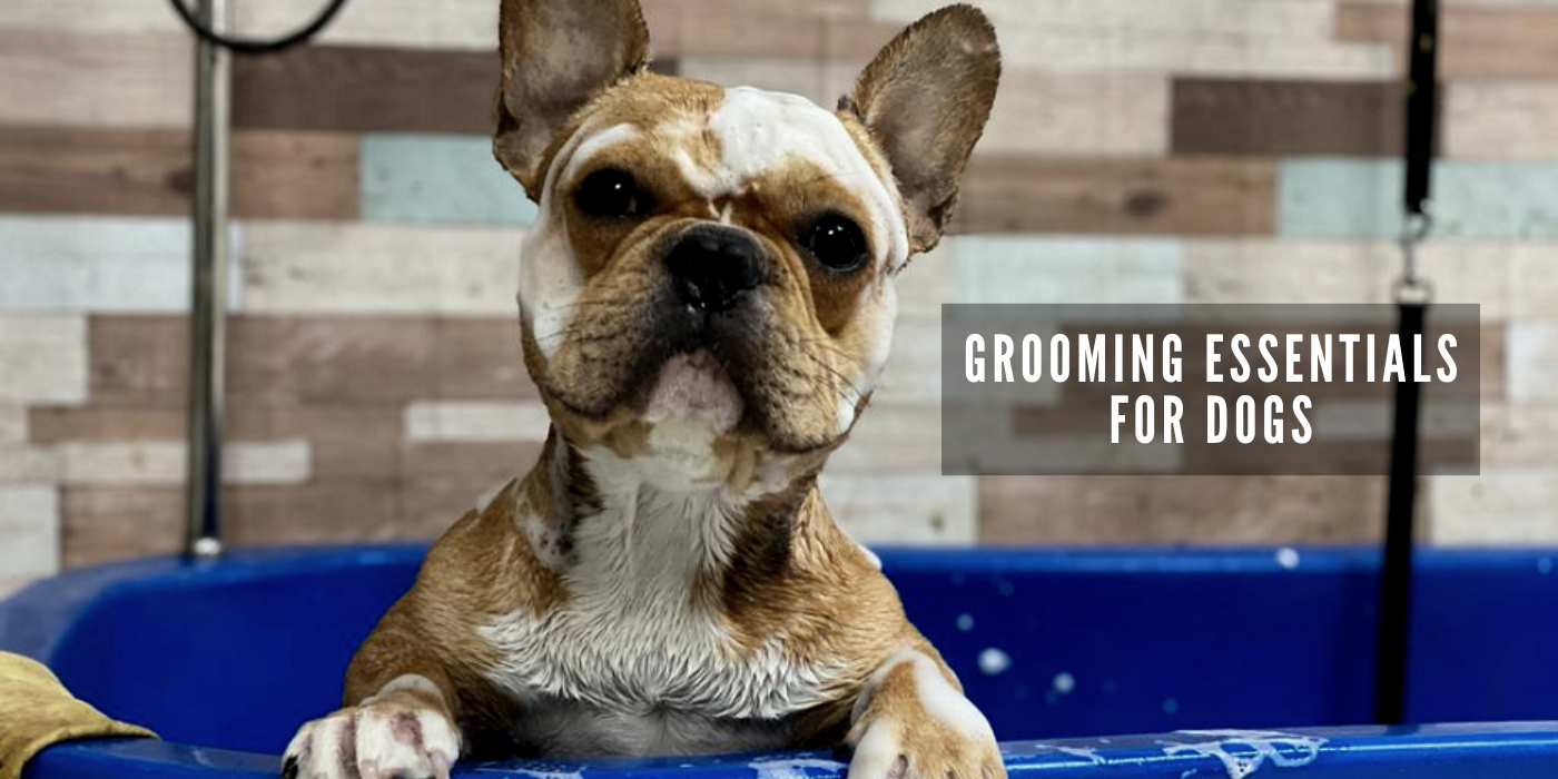 JOOF Holistic Pet | Explore our full collections for Dogs and Cats. - Grooming Essentials for Dogs