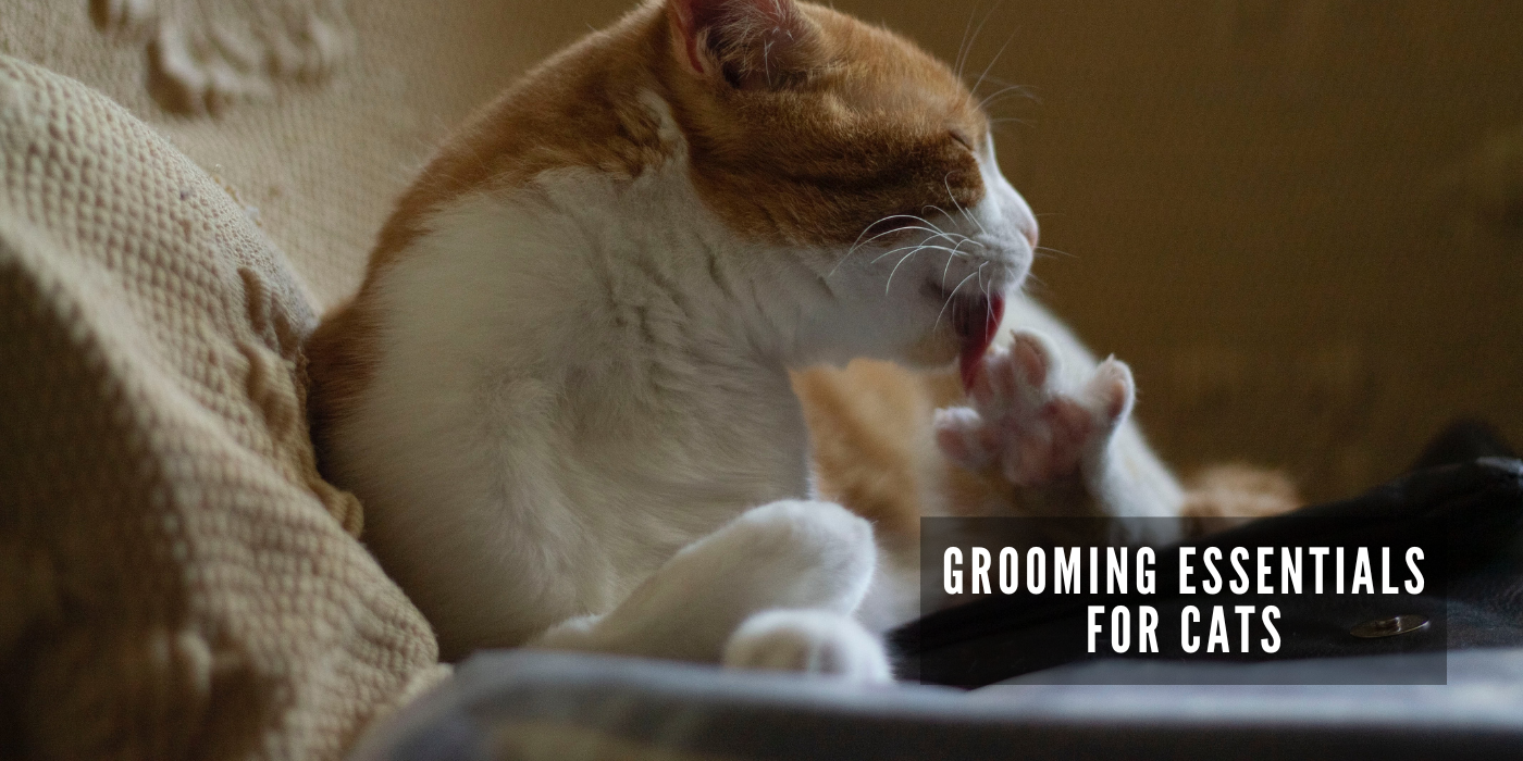 JOOF Holistic Pet | Explore our full collections for Dogs and Cats. - Grooming Essentials for cats