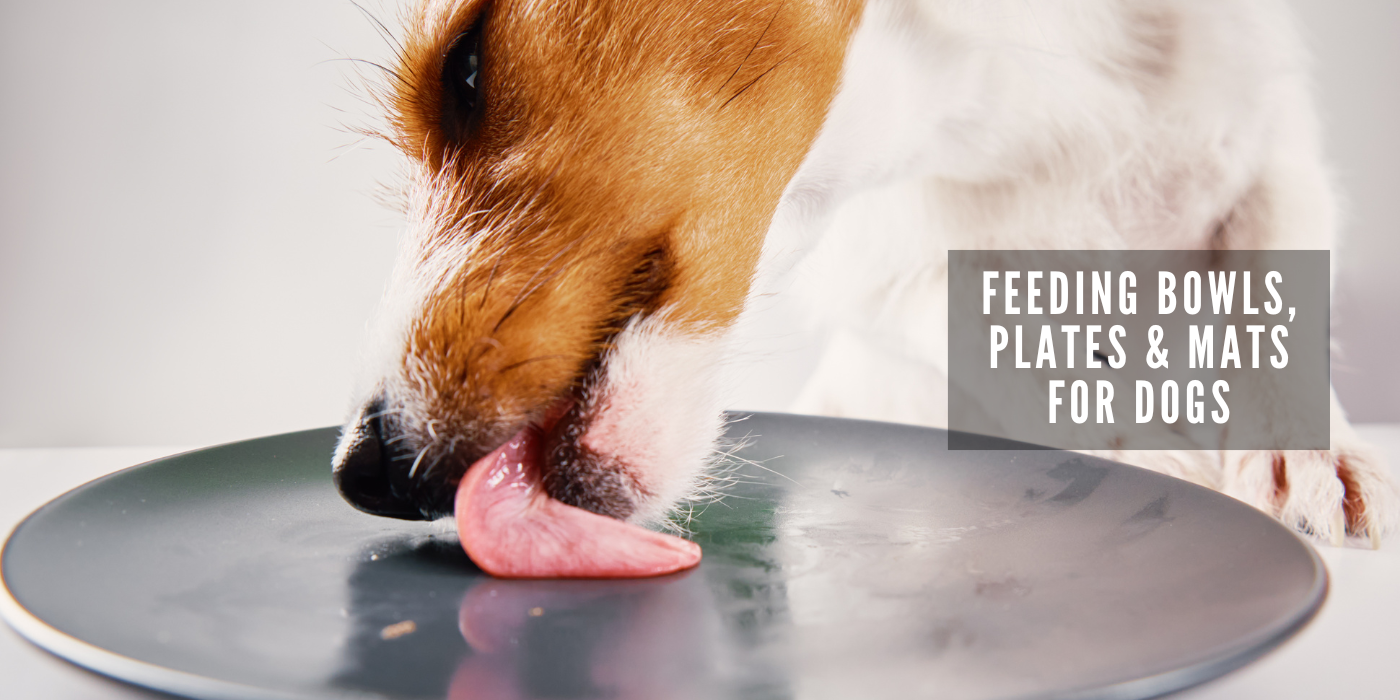 JOOF Holistic Pet | Explore our full collections for Dogs and Cats. - Feeding Bowls, Plates and Mats for Dogs