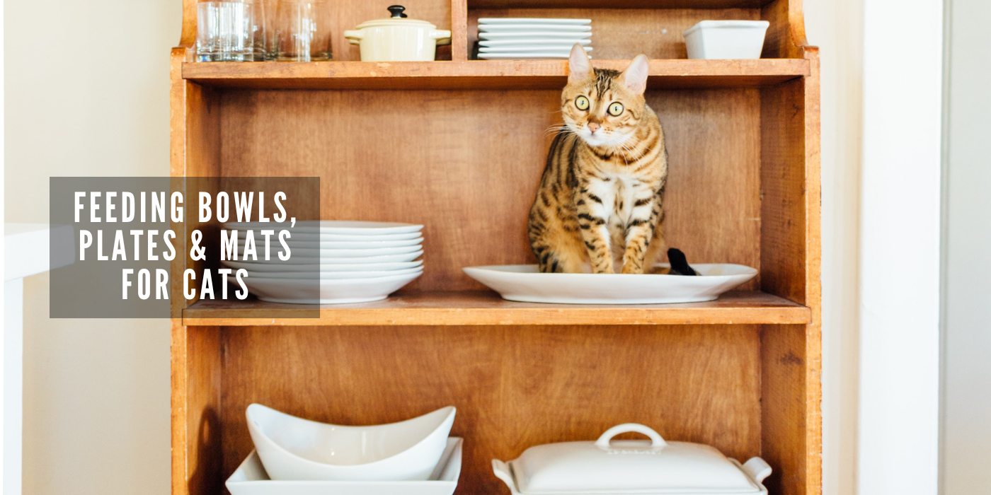 JOOF Holistic Pet | Explore our full collections for Dogs and Cats. - Feeding Bowls, Plates and Mats for Cats