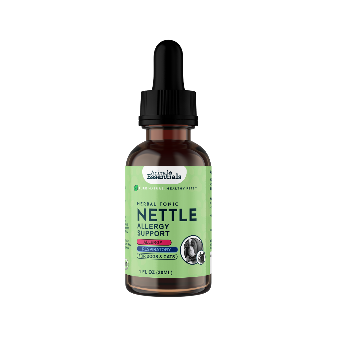 AE_Nettle_1