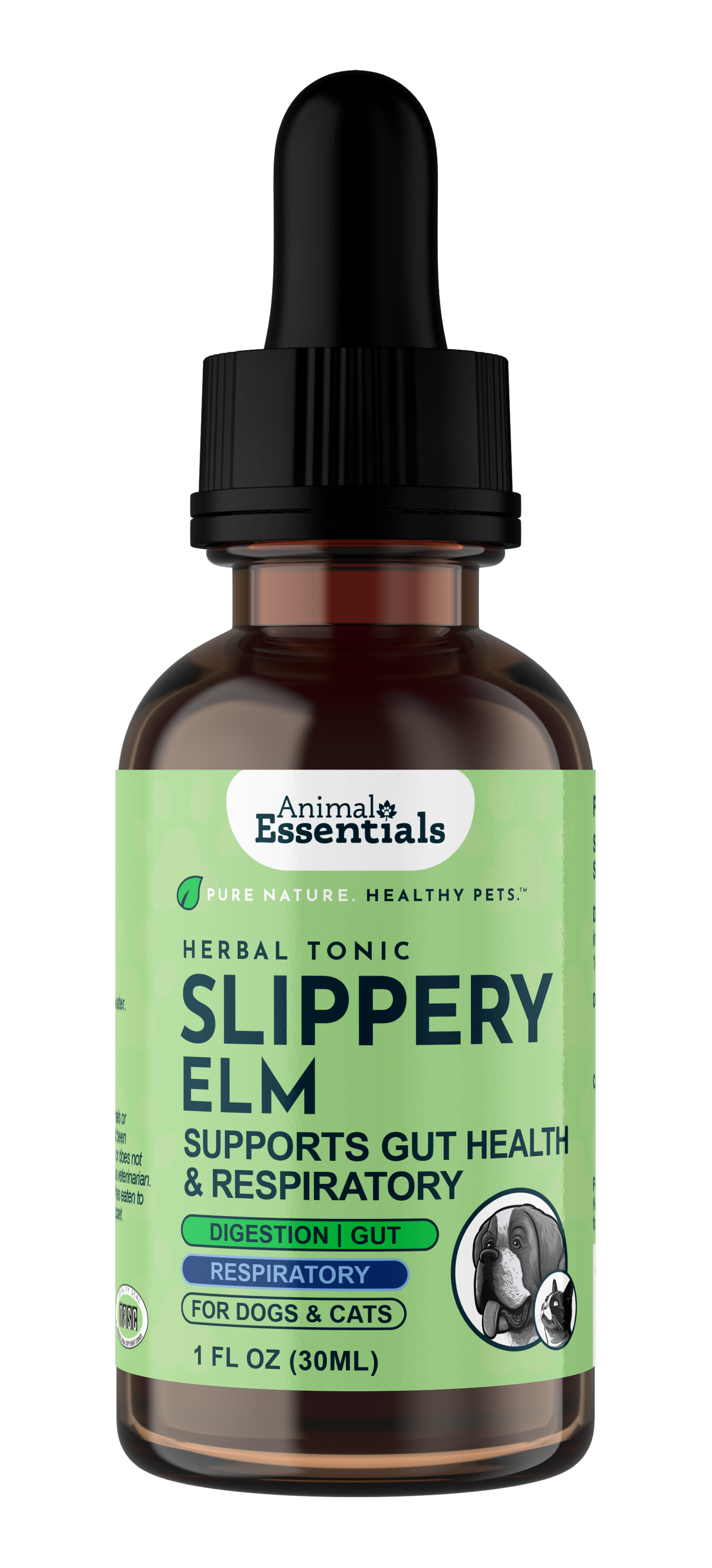 AE_Slippery_Elm