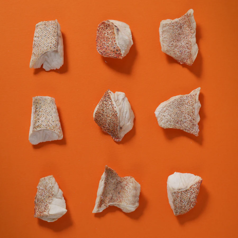 Taki Red Grouper Single 01