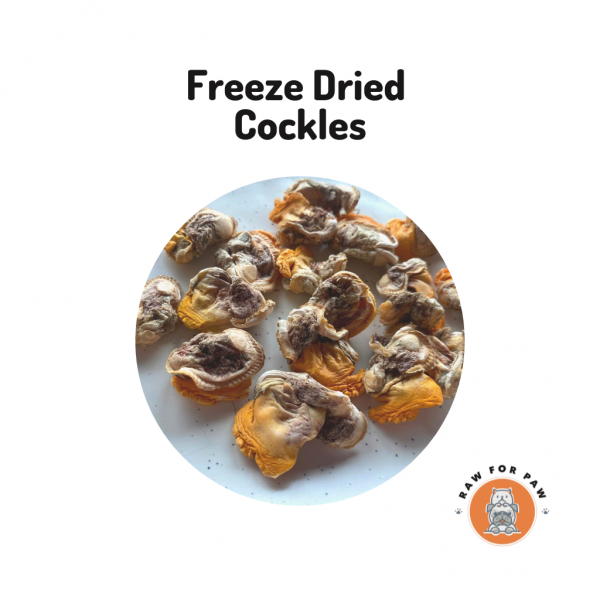 Freeze Dried Cockles 01