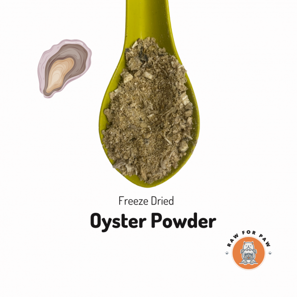 Freeze Dried Oyster Sprinkles 01
