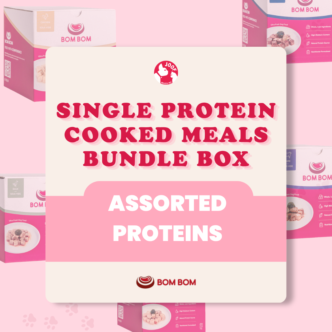 BOM BOM Bundle Box – Master