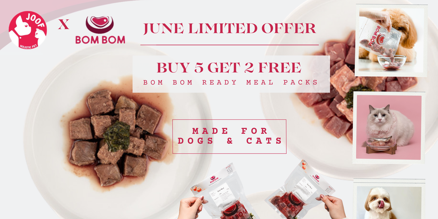 JOOF Holistic Pet | 