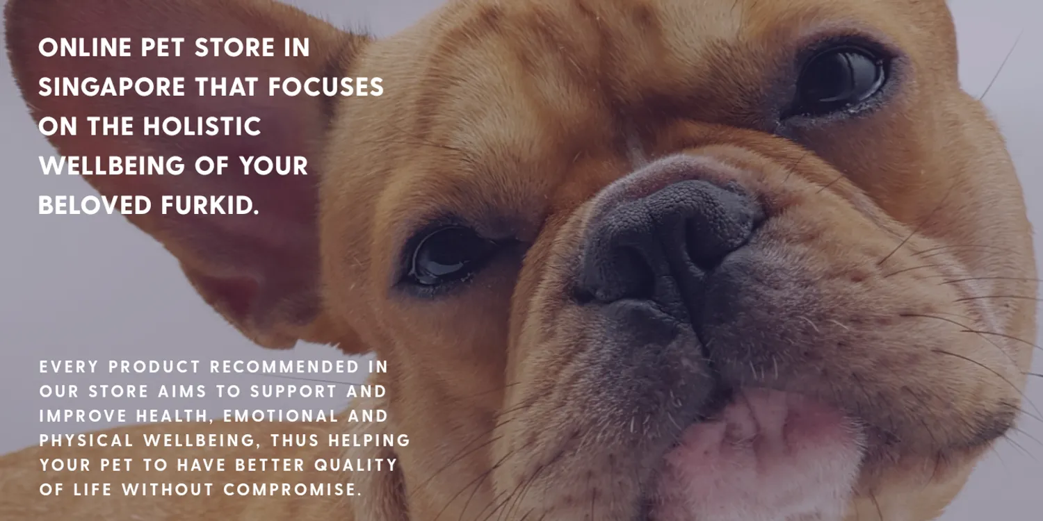 JJ E-Homez Holistic Pet | Singapore Premium Holistic Pets Products |