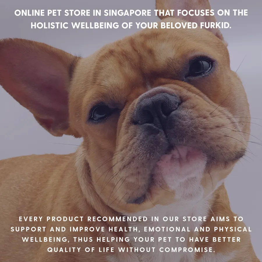 JJ E-Homez Holistic Pet | Singapore Premium Holistic Pets Products |
